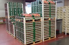 MelaPiù nei mercati ortofrutticoli