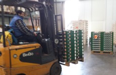 i bancali con le padelle MelaPiù vengono caricati col muletto sui camion per la consegna sui punti vendita