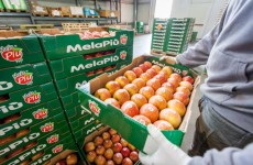 le padelle MelaPiù vengono impilate su bancale