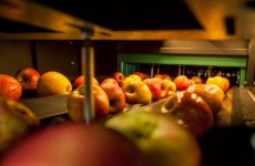 Fuji nella macchina calibratrice e selezionatrice_Melapiu