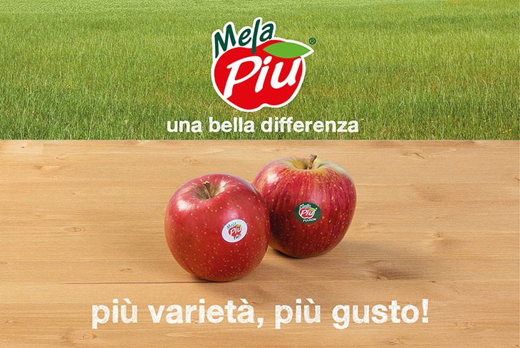 rotair con fuji melapiu fujion melapiu